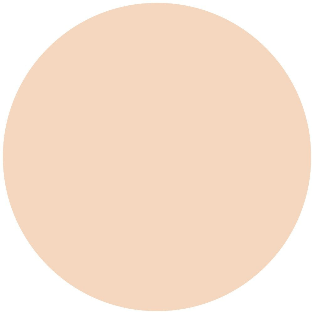 Surreal Skin Foundation Wand - # 5 (medium/yellow) - 15ml/0.5oz